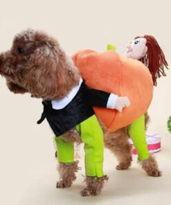 Poochy Pumpkin Outfit za Noć vještica